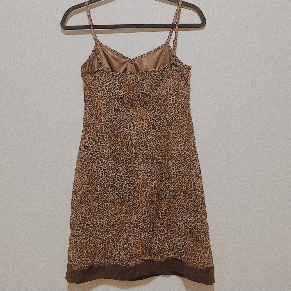 Cheetah bundle - Picture 5 of 8